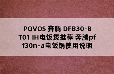 POVOS 奔腾 DFB30-BT01 IH电饭煲推荐 奔腾pff30n-a电饭锅使用说明